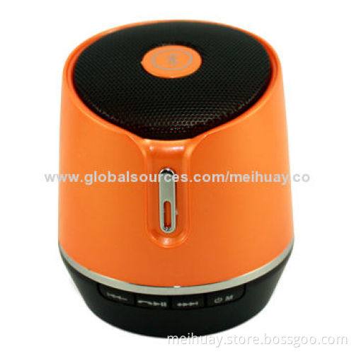 Portable Speaker